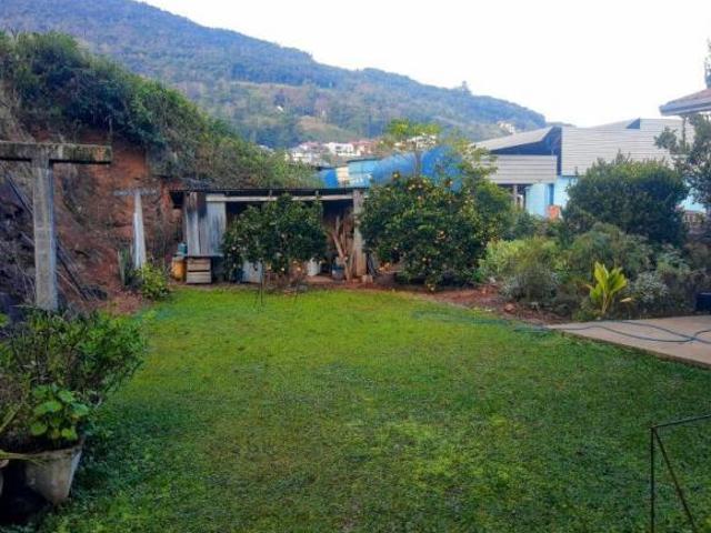 Terreno Com Casa Para Ponto Comercial
