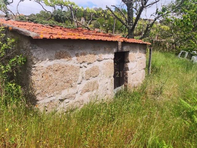 Terreno com casinha e vista para o rio Douro, em S. Tomé de Covelas, Baião para projeto agrícola