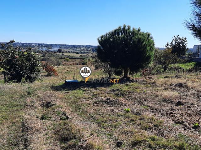 Terreno com cerca de 4000m2, venda, Castelo Branco