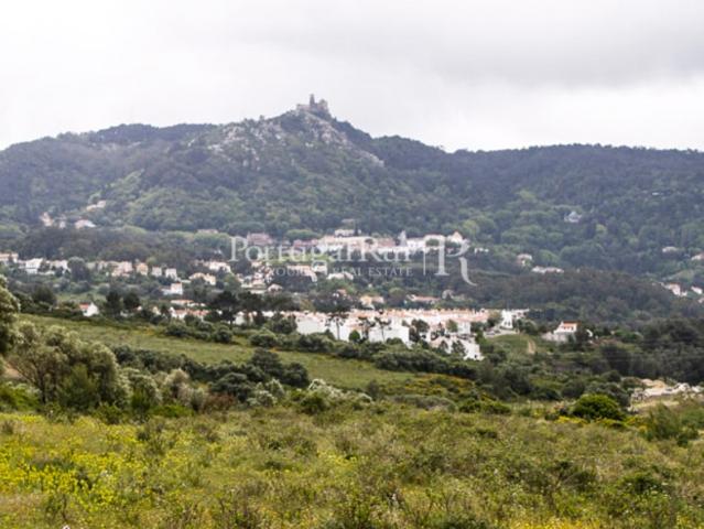 Terreno com 5.500m2 e projecto aprovado para moradia na região de Sintra