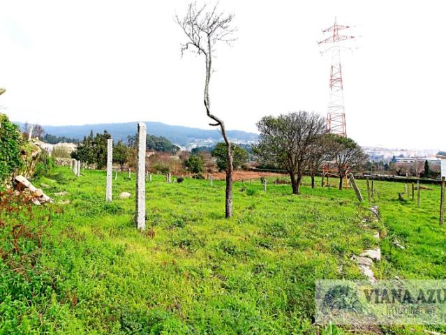 Terreno com cerca de 10.000 m2, loteável, na Abelheira, Viana do Castelo