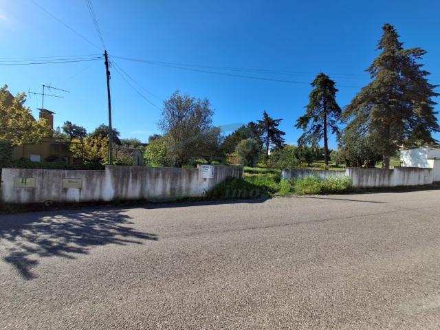 Terreno com cerca de 10.240 m², localizado em Almonda, numa zona tranquila com envolvente natural e bons acessos