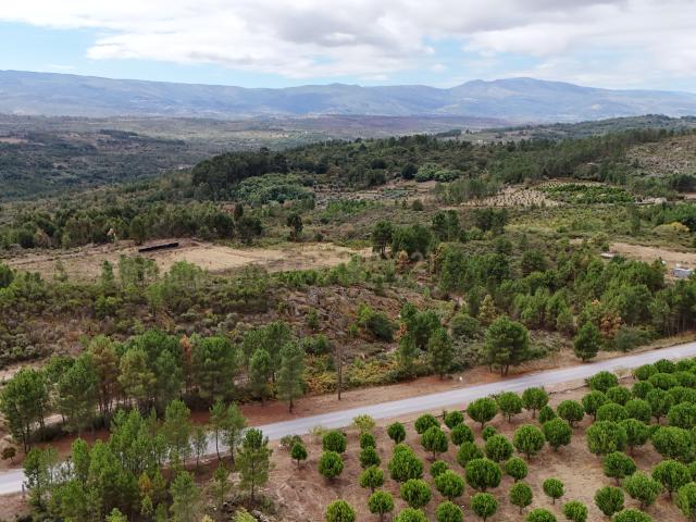 Terreno com cerca de 18.000 m² em Figueiró da Granja Fornos de Algodres
