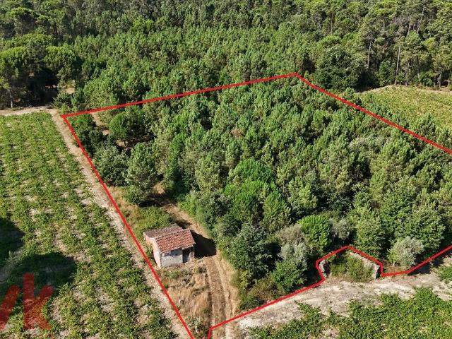 Terreno com + de 3.000m2 com barracão