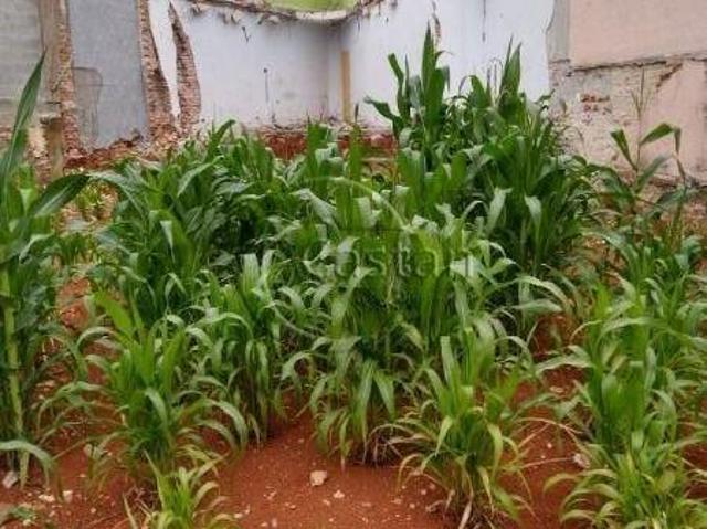 Terreno Residencial em Mooca