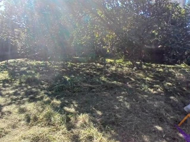 Terreno com duas casas à venda na avenida da praia, Jd Britânia