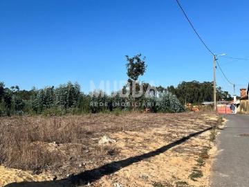Terreno com duas frentes e grande potencial de urbanização em Avanca