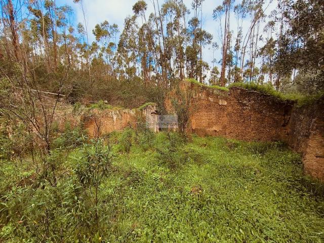 TERRENO COM DUAS RUINAS EM MARMELETE