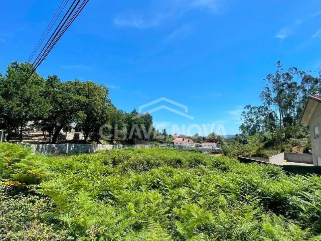 Terreno com Elevado Potencial de Construção em Fiães
