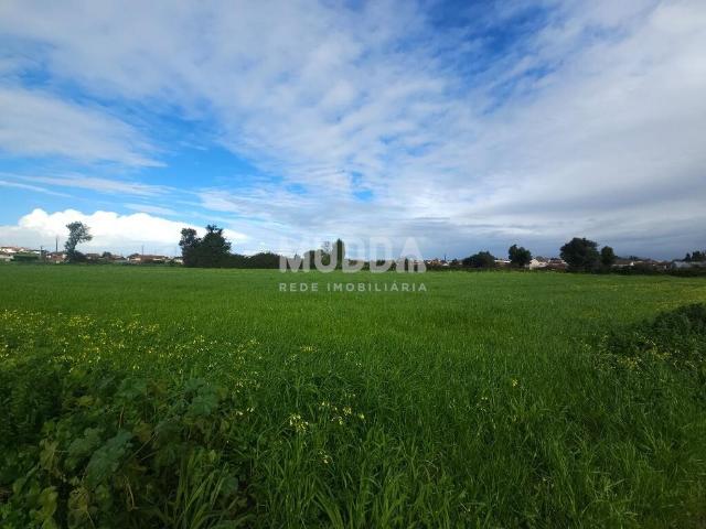 Terreno com elevado potencial em Canelas