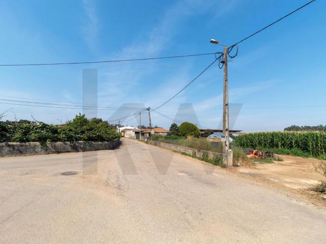 Terreno com Elevado Potencial para Investimento – Avanca, Estarreja