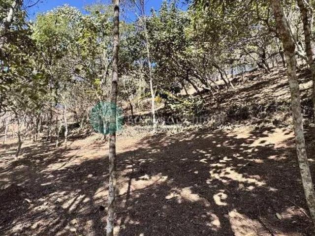 Terreno com escritura 1100m2