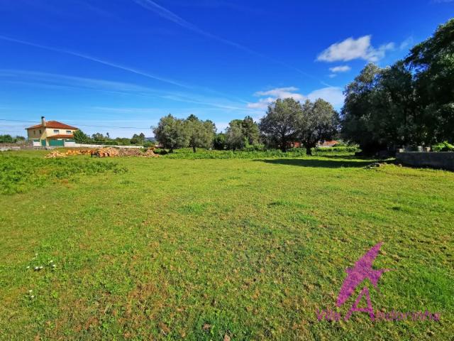 Terreno com Excelente Exposição Solar em Zona Tranquila