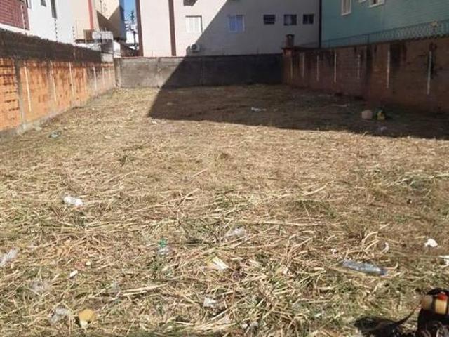 Terreno com Excelente Localização na Guilhermina