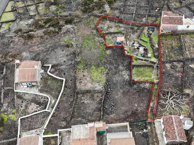 Terreno com Frutais e Horta na Ilha Terceira 55.000€