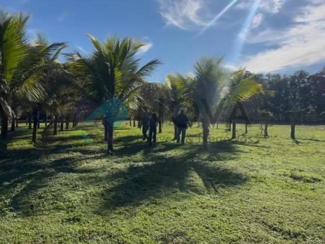 TERRENO COM GEOGRAFRIA TOTALMENTE PLANA NO RECANTO DOS NOBRES EM ARARAQUARA!