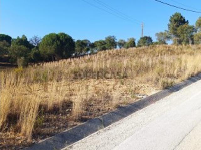 Terreno com Grande Potencial