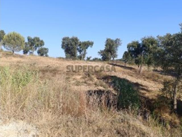 Terreno com Grande Potencial