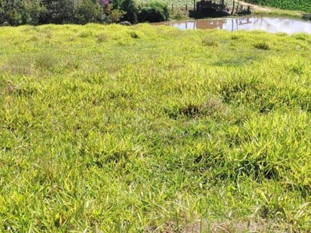 TERRENO COM LAGOA À VENDA PIEDADE DOS GERAIS/MG
