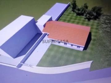 TERRENO COM LICENÇA DE CONSTRUÇÃO JÁ APROVADA PARA MORADIA TERREA T3 ESTARREJA