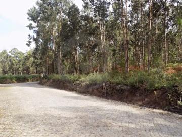 Terreno com mais de 15000 m2
