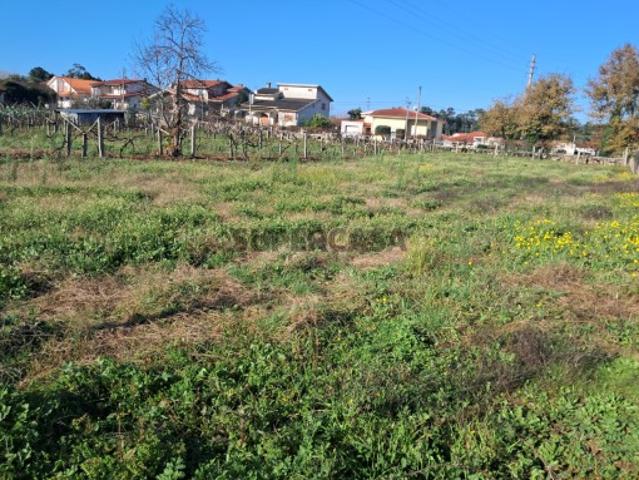 Terreno com mais de 5 mil metros quadrados para construção