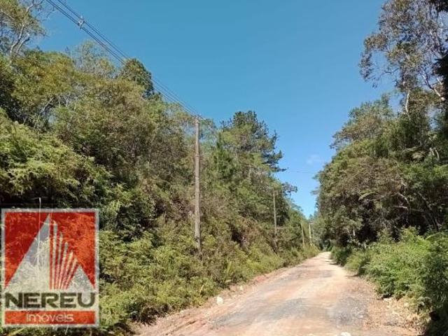 TERRENO COM MATA NATIVA PRÓXIMO À RODOVIA JUQUITIBA/SP