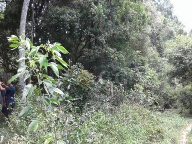 Terreno com Matrícula Itapuã
