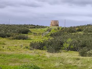 TERRENO COM MOINHO COM 72.950 M2 COM POSSIBILIDADE DE CONSTRUÇÃO HABITAÇÃO E OU TURISMO PRÓXIMO AO AZINHAL EM CASTRO MARIM ALGARVE
