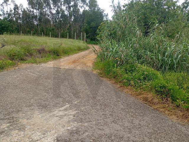 Terreno com moinho, na rota dos mionhos em Ouca – Vagos