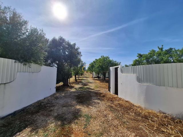 Terreno com moradia em Paderne
