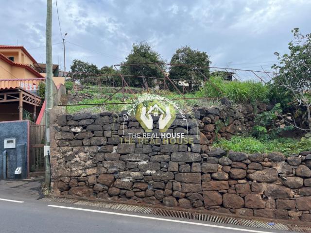 Terreno c/ Ruína de Moradia V1 em Santa Cruz