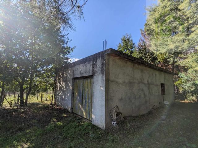 Terreno com múltiplas oportunidades em uma vila tranquila