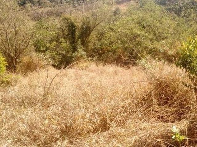 Terreno com nascente, Camanducaia do Meio, 10.000 m², escritura em ordem