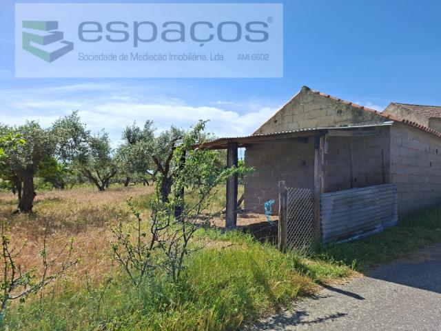 Terreno com olival e fantástica barragem