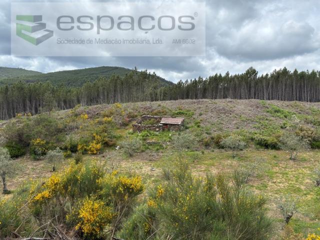 Terreno com olival e regadio