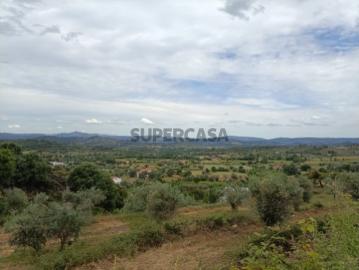 Terreno com Olival em Belmonte