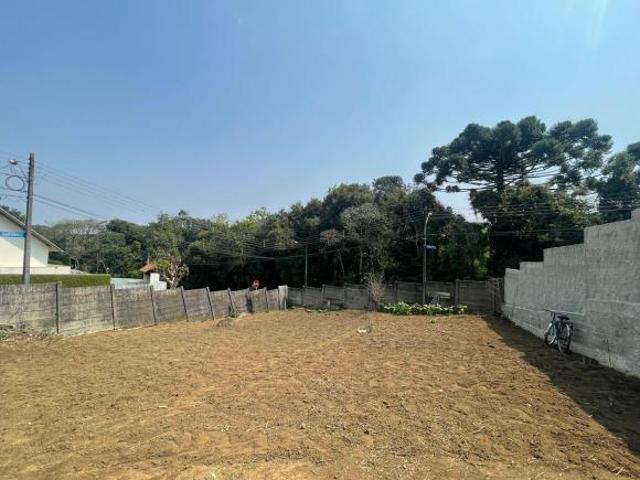 Terreno com ótima topografia e 300 m² no bairro Pilarzinho