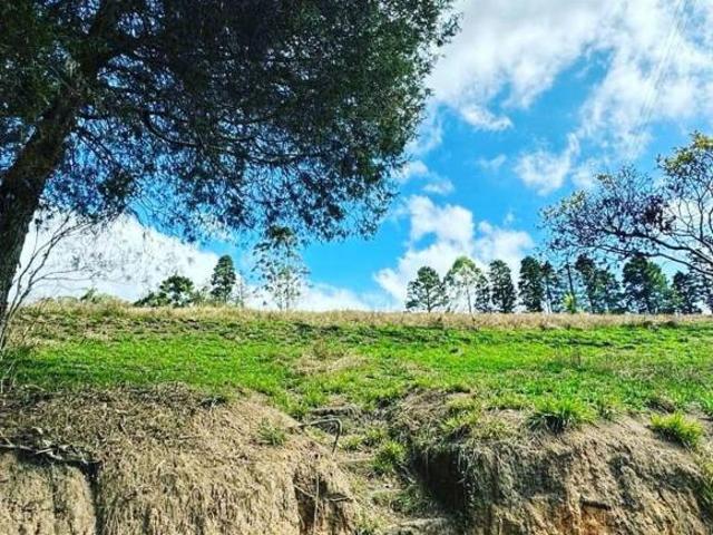 Terreno com Ótima Topografia