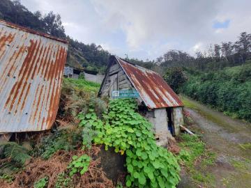 Terreno com boa vista
