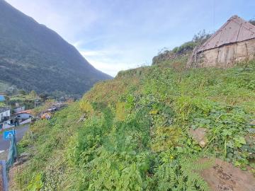 Terreno com Palheiro na Boaventura