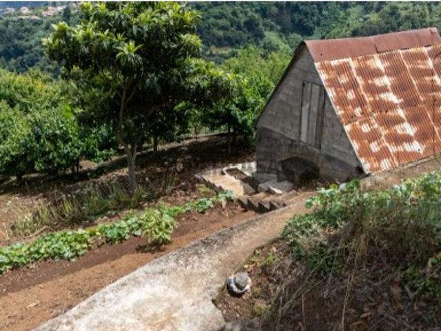 Terreno Com Palheiro No Faial