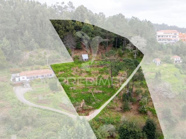 Terreno com palheiro no Santo da Serra Santa Cruz Ilha da Madeira