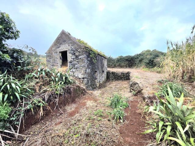 Terreno com Palheiro para Recuperar em Porto Moniz, em Zona Tranquila e com Grande Potencial