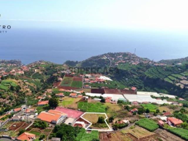 Terreno com Palheiro Ponta do Sol