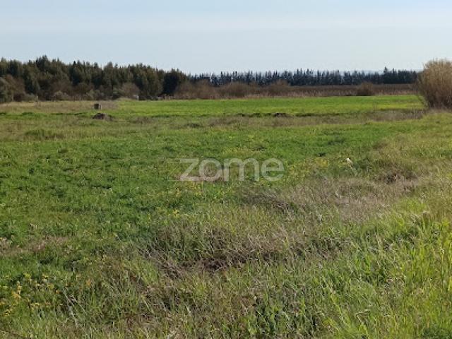 Terreno com parcela de 9500m2 I Godinha I Campo Maior