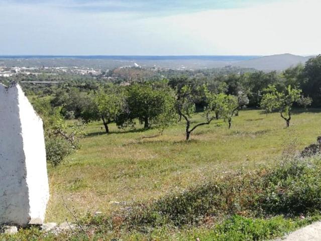 Terreno com Permissão para uma Villa de luxo de 4 quartos co. m² Loulé São Clemente
