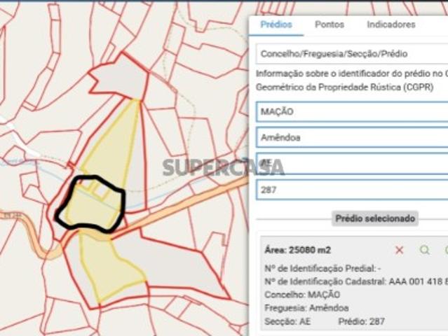 Terreno com Pinhal e Olival c/ poço Pontão, Mação