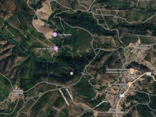 Terreno com pinhal Ladeira das Covas, Mação
