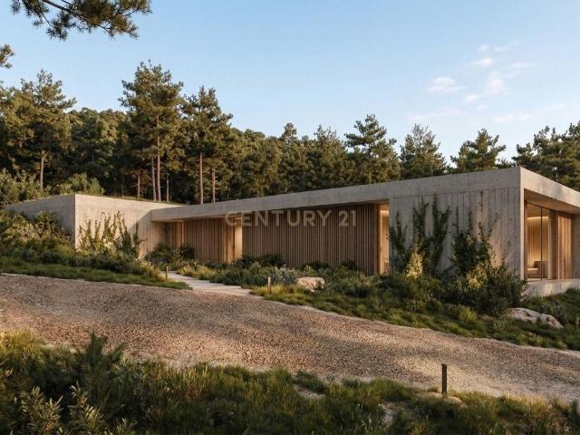 Terreno com PIP Aprovado | 22.523 m² | Resende – Viseu